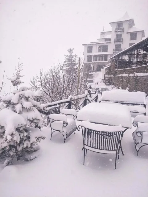 Куфри: Tethys Ski Resort Narkanda