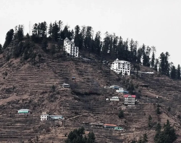 Куфри: Tethys Ski Resort Narkanda