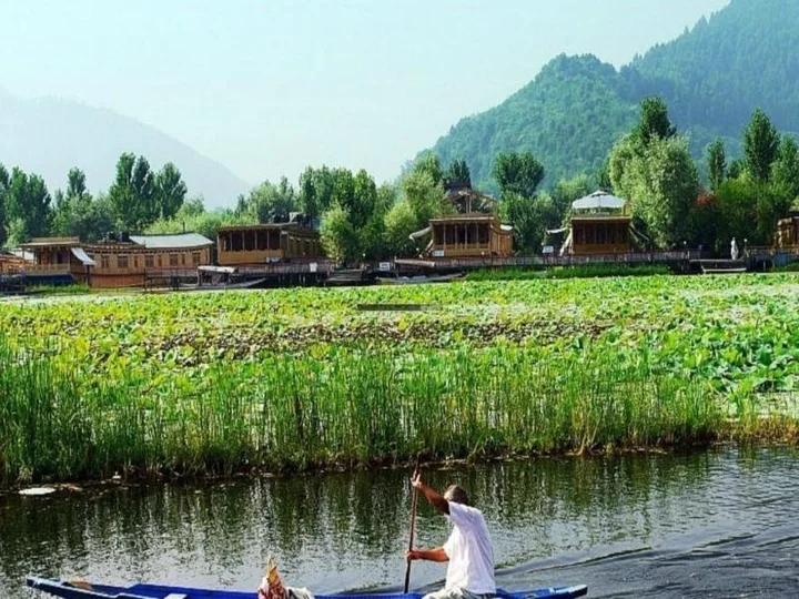 Шринагар: Aziz Palace Group of Houseboats