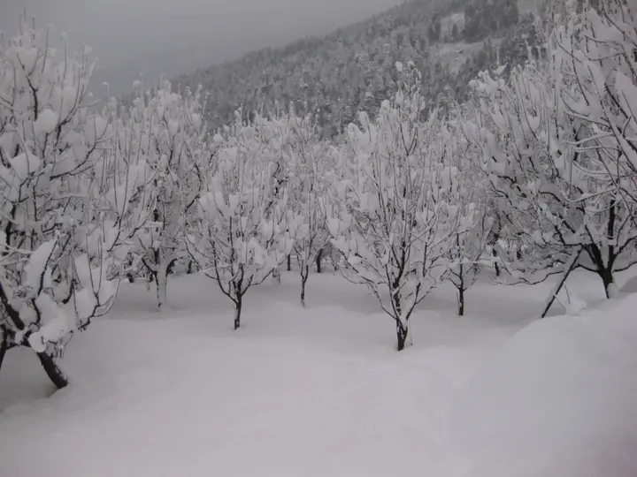 Манали: Sarthak Resorts