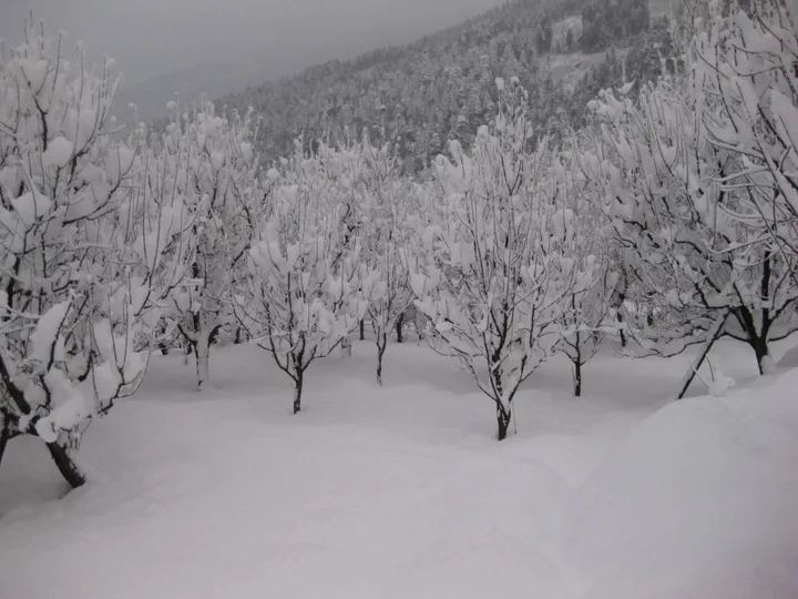 Манали: Sarthak Resorts