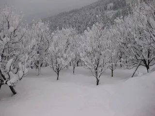 Манали: Sarthak Resorts