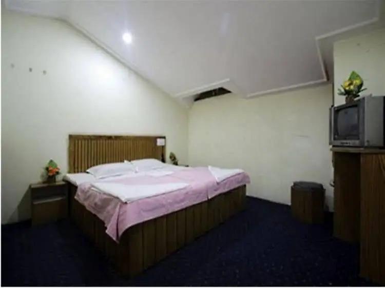Манали: Hotel New Shivalik