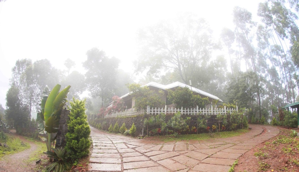 Муннар: Emarald Wyte Mist Resort