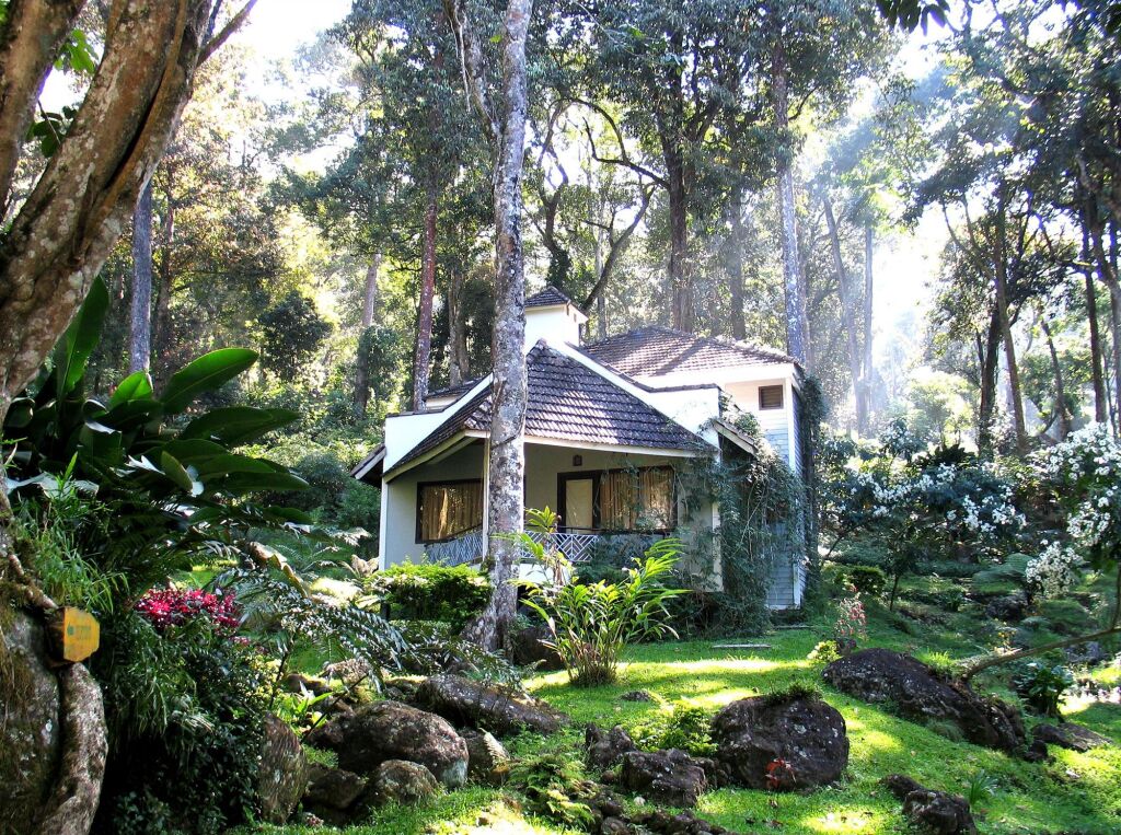 Муннар: The Tall Trees Munnar