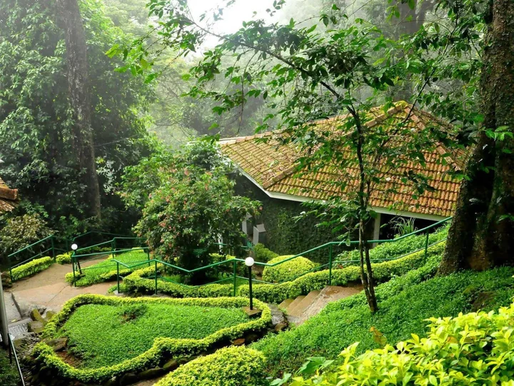Муннар: The Tall Trees Munnar