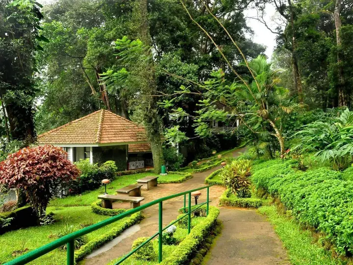 Муннар: The Tall Trees Munnar