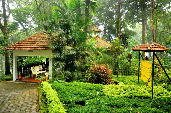 Муннар: The Tall Trees Munnar