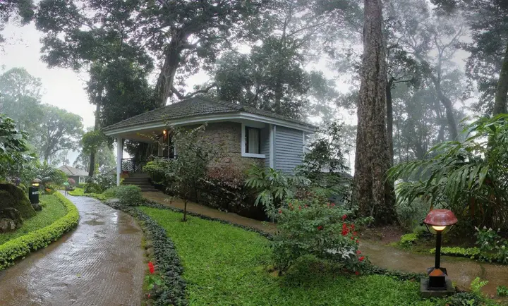 Муннар: The Tall Trees Munnar