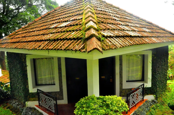 Муннар: The Tall Trees Munnar
