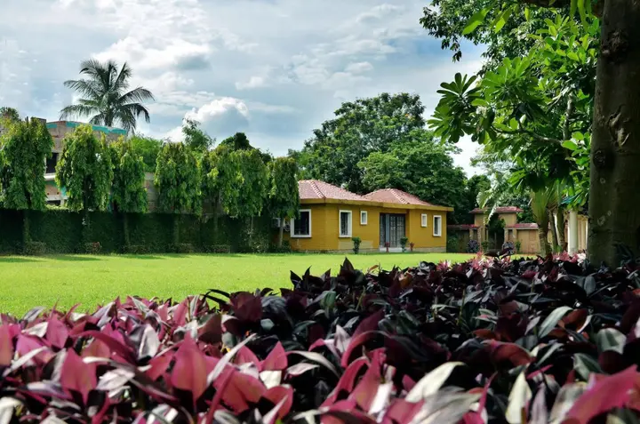 Болпур: Camellia Hotel, Santiniketan