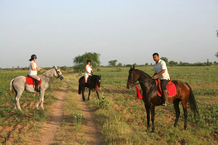 Луни: Mihir Garh