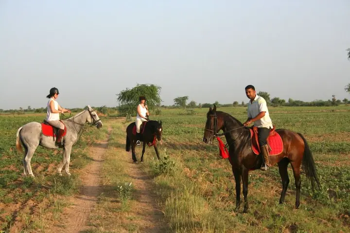 Луни: Mihir Garh