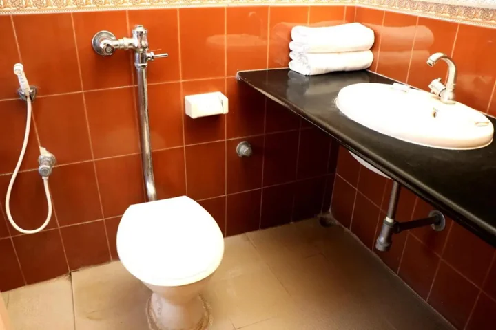 Кушалнагар: Hotel Kannika International