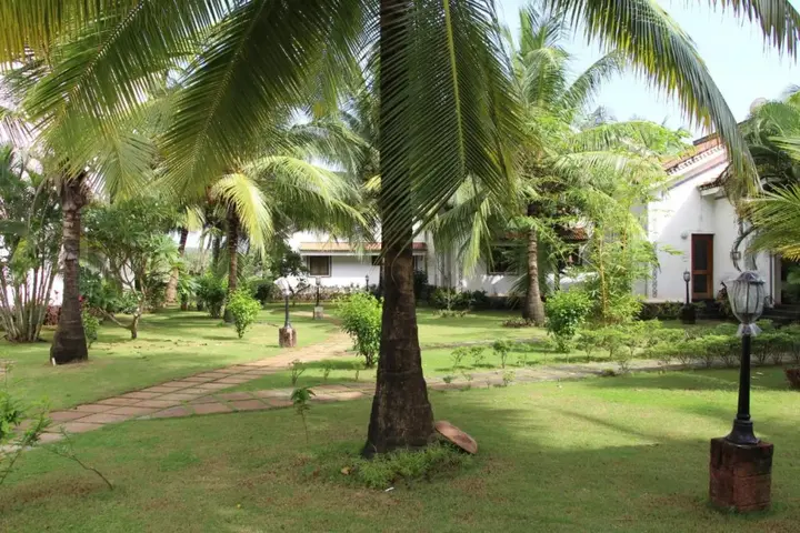 Арпора: Riviera Hermitage