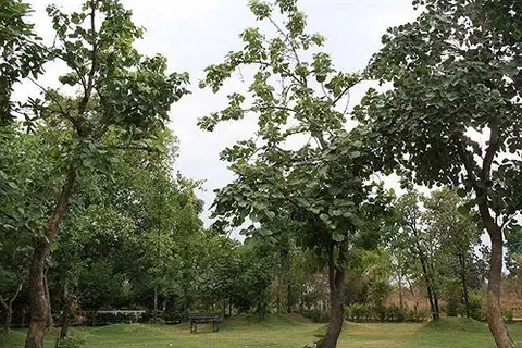 Турья: United-21 Jungle Resort Pench