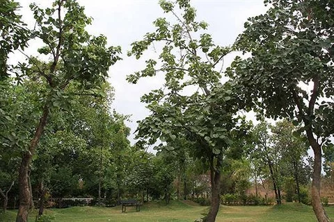 Турья: United-21 Jungle Resort Pench