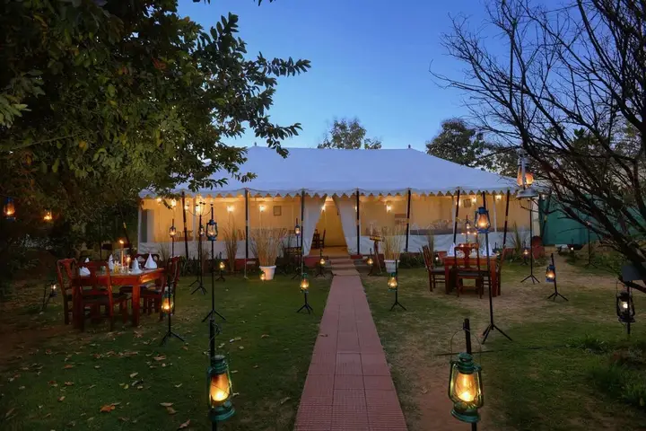Abrar Palace & Jungle Camps — фото 6