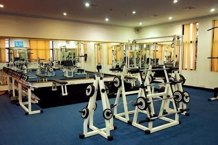 Бангалор: Golden Palms Hotel And Spa