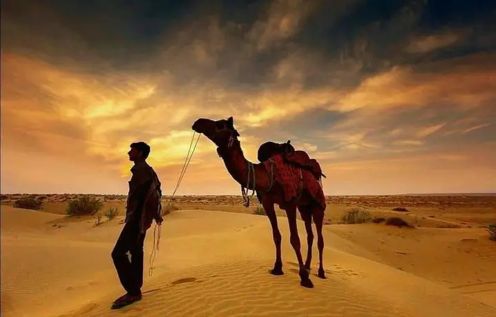 Aspirants Trishul Desert Resort — фото 6