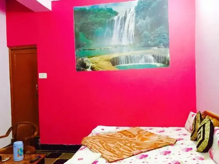 Удаипур: Hotel Shakti Palace