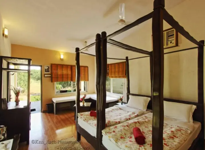 Сазан: Gir Birding Lodge