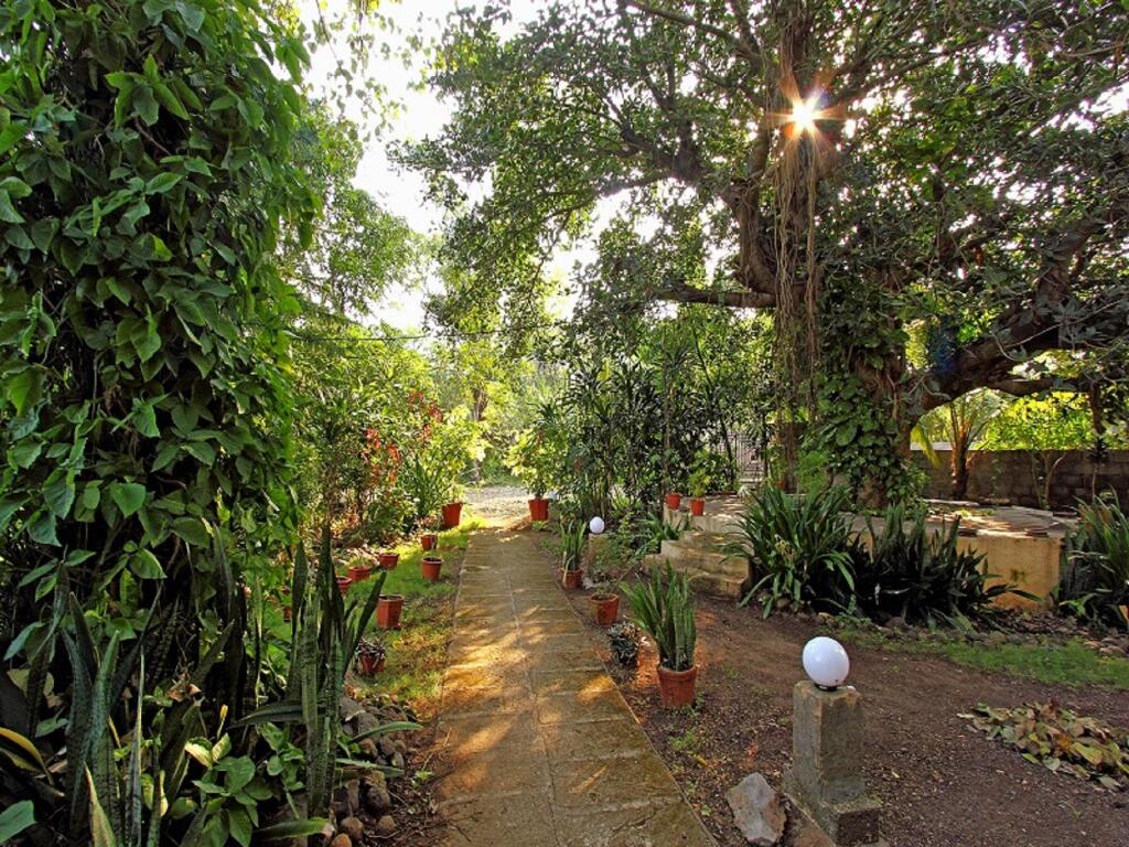 Сазан: Gir Birding Lodge