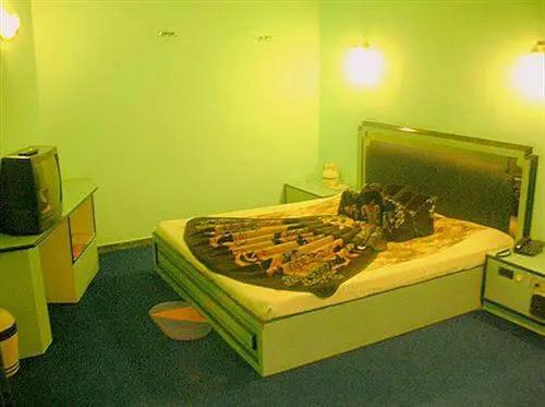 Гора Абу: Hotel Maganjis
