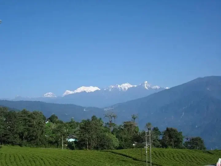 Пеллинг: Cherry Resort South Sikkim