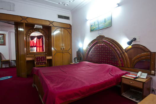 Лакхнау: Hotel Vishwanath
