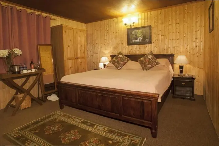 Гульмарг: Hotel Nedous