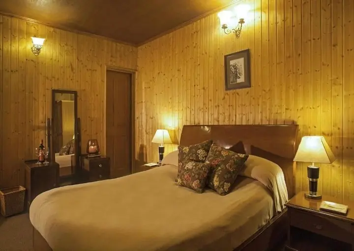 Гульмарг: Hotel Nedous