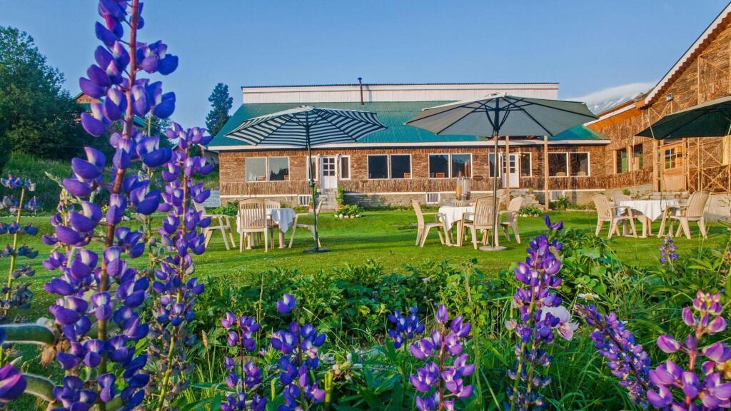 Гульмарг: Hotel Nedous