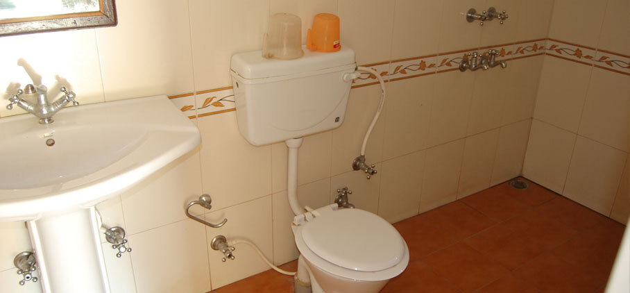 Дела: Jungle Paradise Hotel