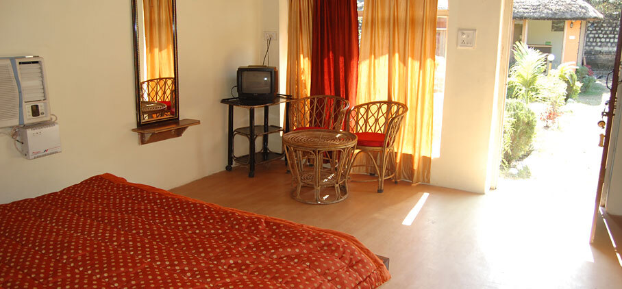 Дела: Jungle Paradise Hotel