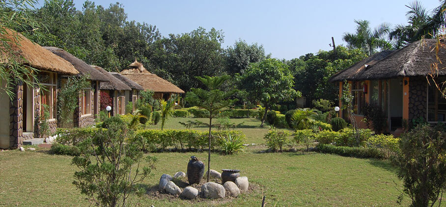 Дела: Jungle Paradise Hotel