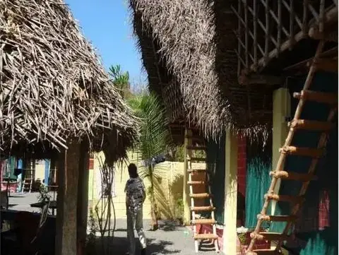 Калапет: Flora Beach Resort