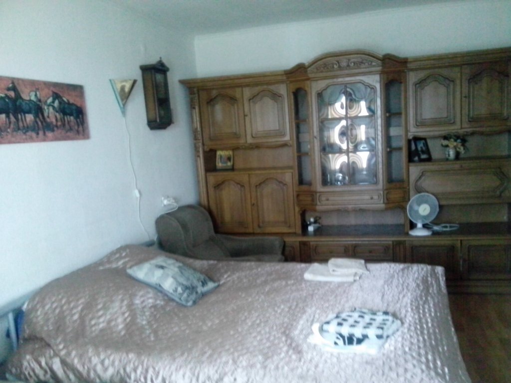 S Vidom Na Novyij Stadion V Kaliningrade Apartments — фото 3