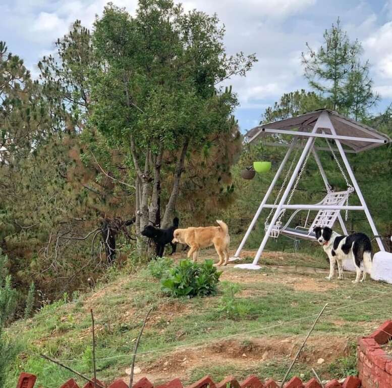 Чамба: Darbar - A Heritage Farmstay