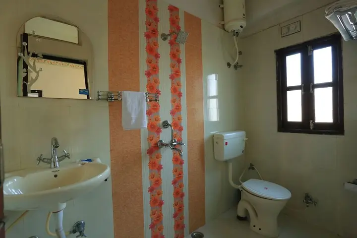 Удаипур: Janak Niwas Guest House