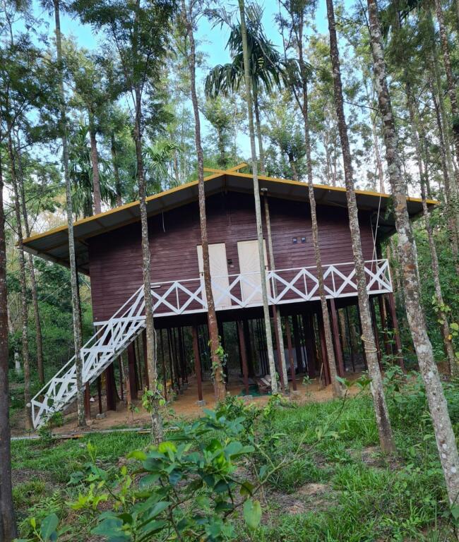 Бандипур: Deep Jungle Home