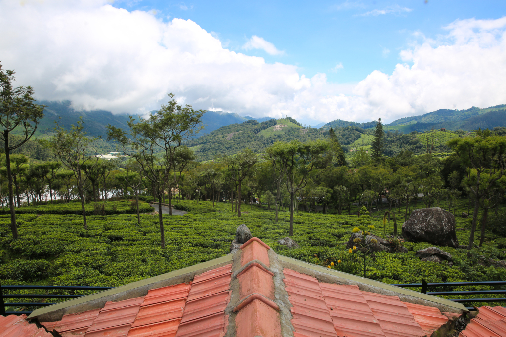 Ути: Вилла Farview Mountain Resort