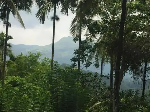 Султан-Батери: Wellbeing Resorts