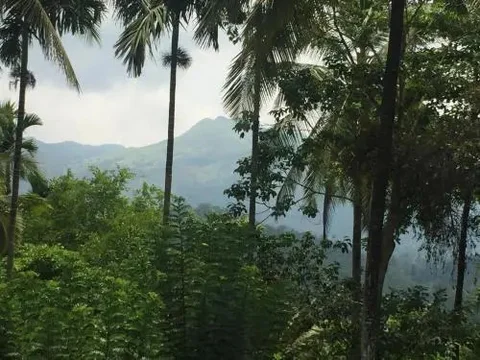 Султан-Батери: Wellbeing Resorts