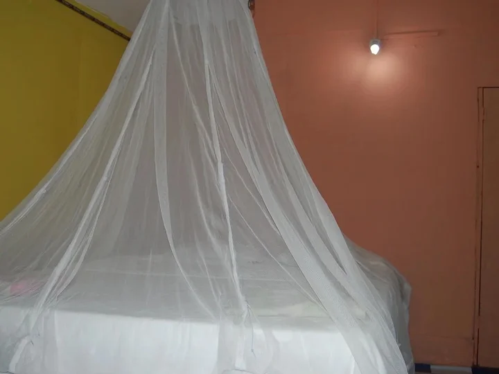 Южный Гоа: Camp SanFrancisco Guest House