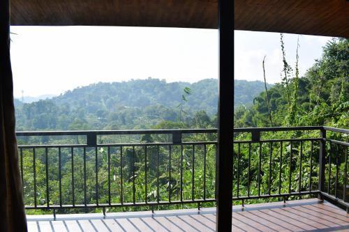 Гувахати: Brahmaputra Jungle Resort