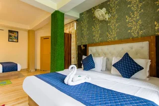 Манали: Fabhotel Negis Shivalaya