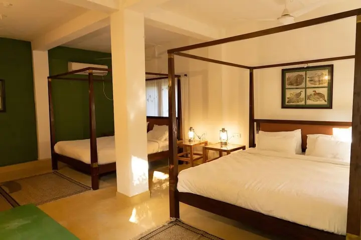 Тала: Bagh Tola, Bandhavgarh