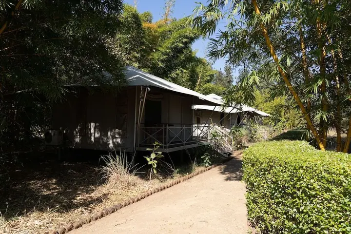 Тала: Bagh Tola, Bandhavgarh