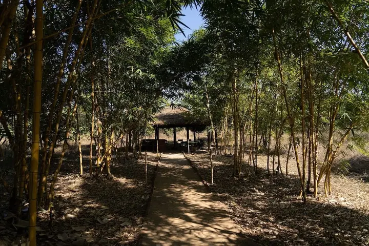 Тала: Bagh Tola, Bandhavgarh